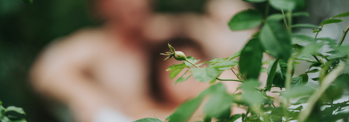close-up-fresh-green-leaves-potted-plant