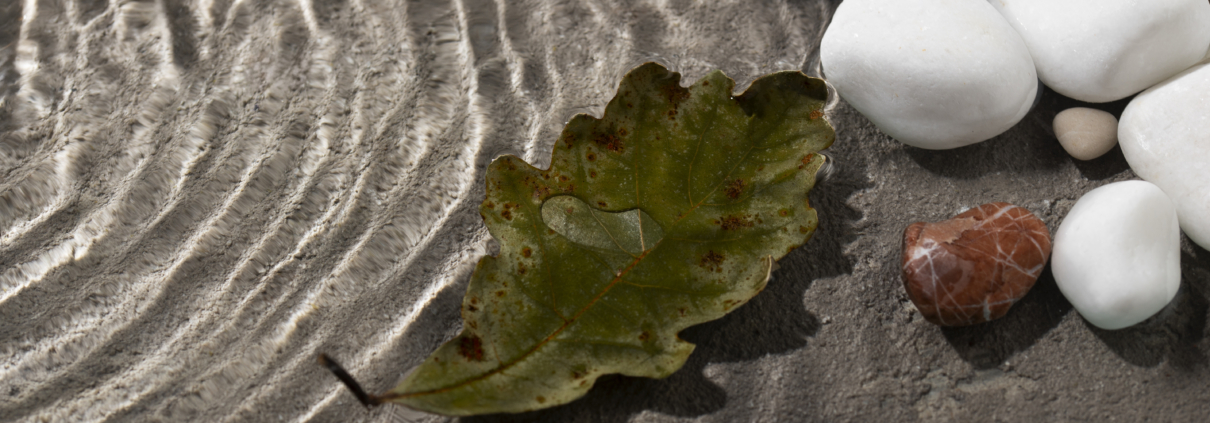 close-up-leaf-floating-water